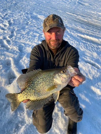 Black Crappie