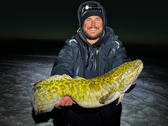 Burbot