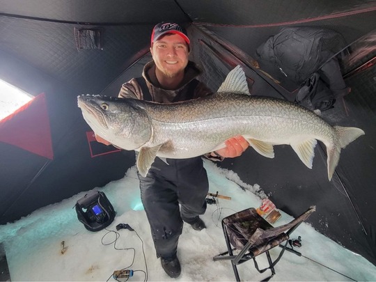 Lake Trout