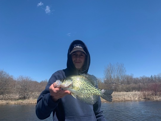 Black Crappie