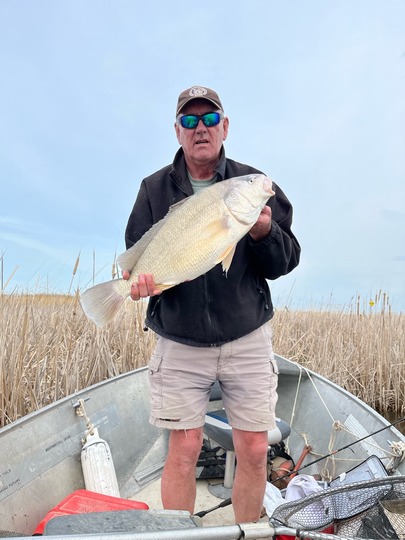 Freshwater Drum
