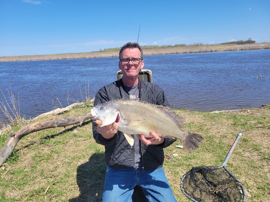 Freshwater Drum