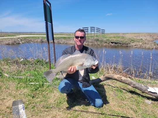 Freshwater Drum