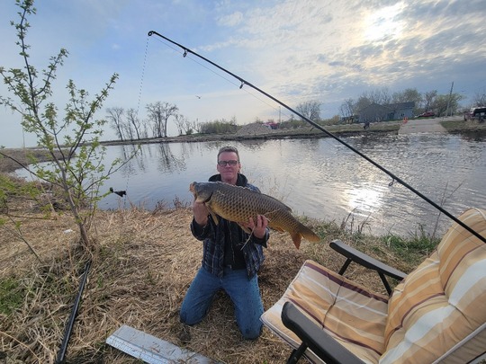 Common Carp