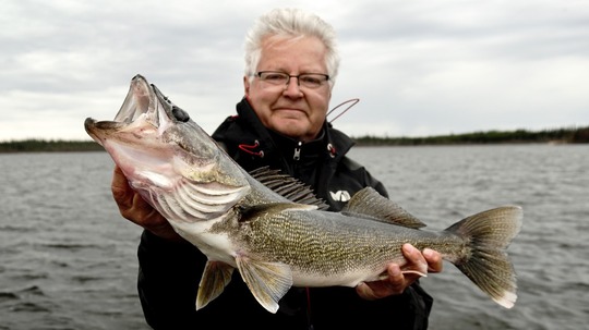 Walleye