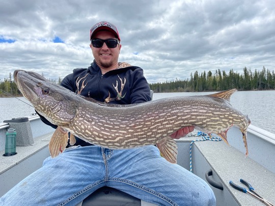 Northern Pike