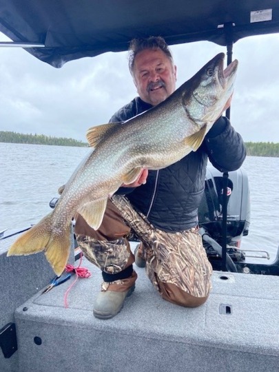 Lake Trout