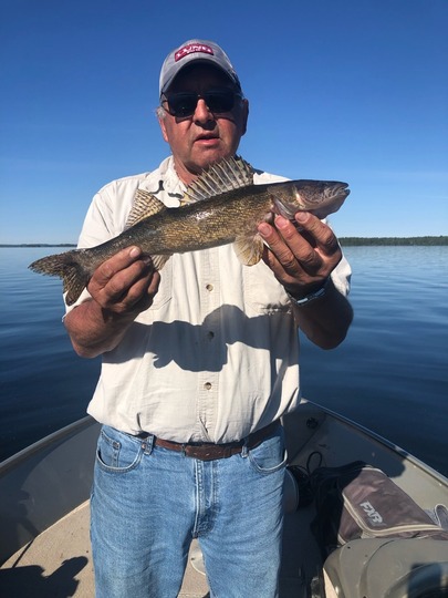 Sauger