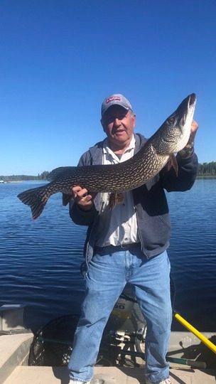 Northern Pike