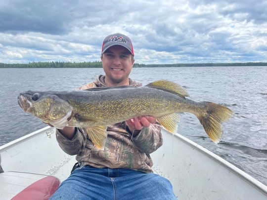 Walleye