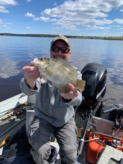 Rock Bass