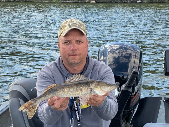 Sauger