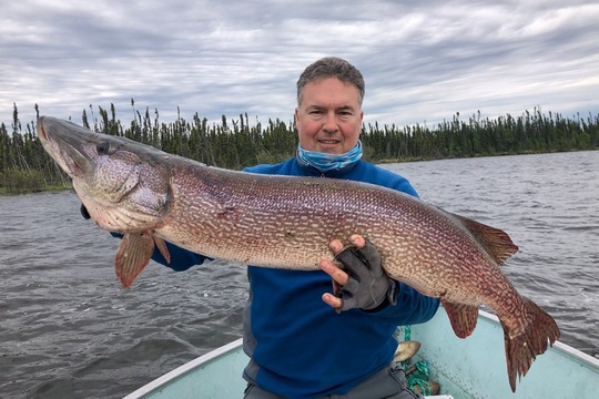 Northern Pike