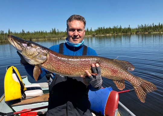 Northern Pike