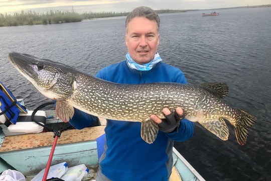 Northern Pike