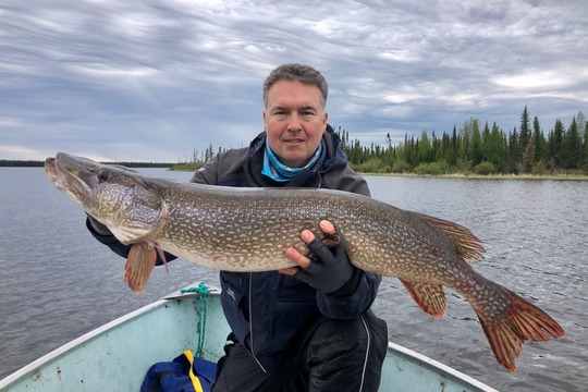 Northern Pike