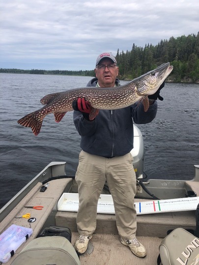 Northern Pike