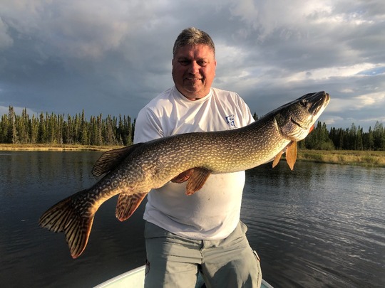 Northern Pike