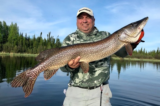 Northern Pike