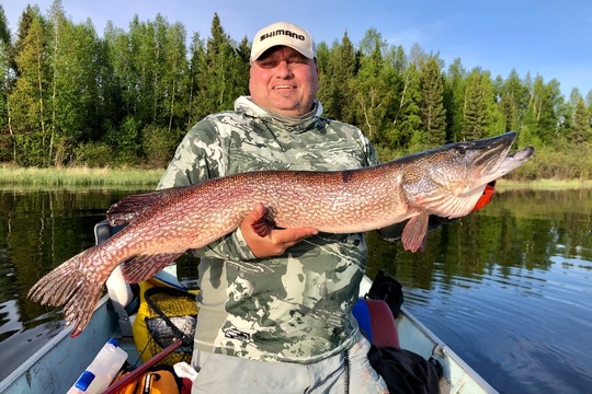 Northern Pike