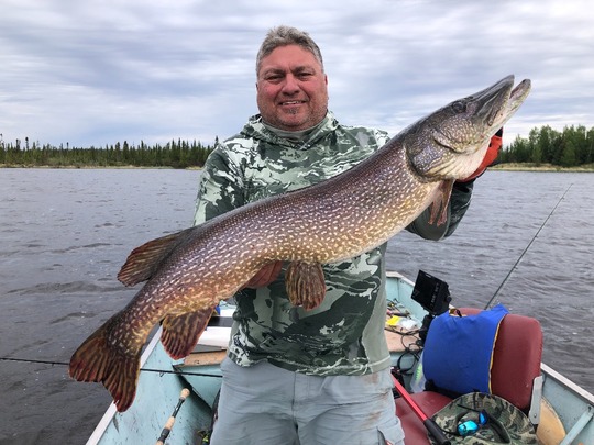 Northern Pike