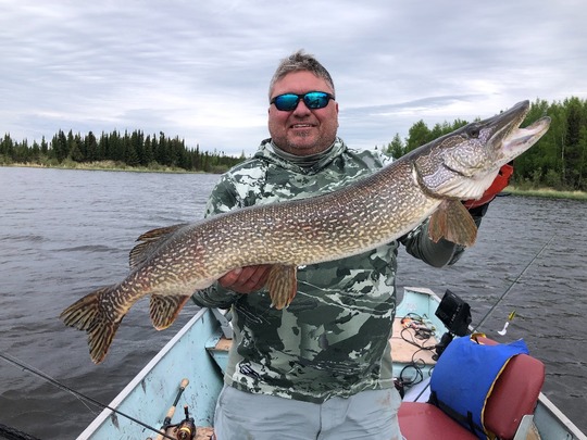 Northern Pike