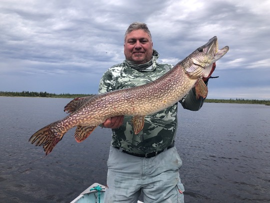 Northern Pike
