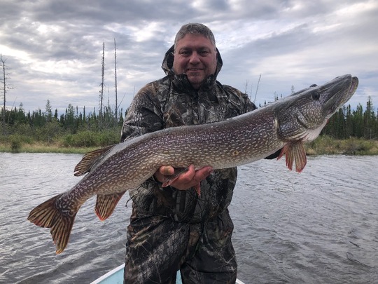 Northern Pike