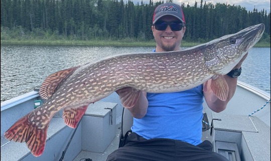 Northern Pike