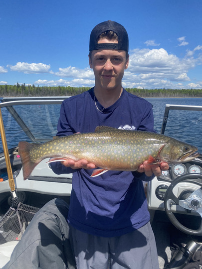 Brook Trout