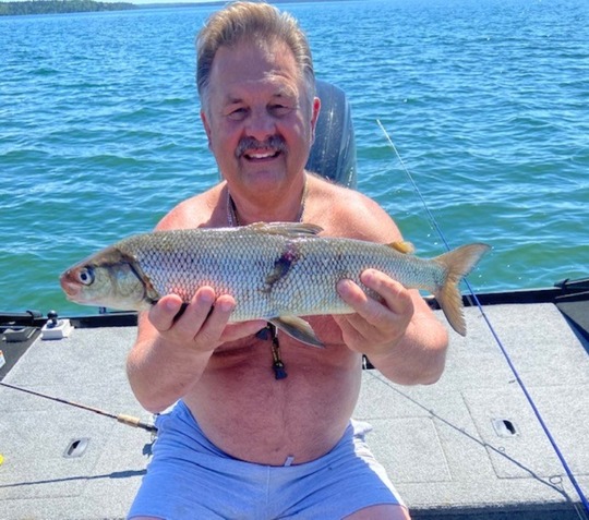 Lake Whitefish