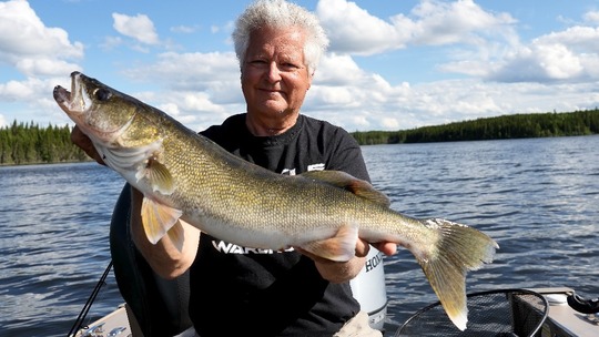 Walleye