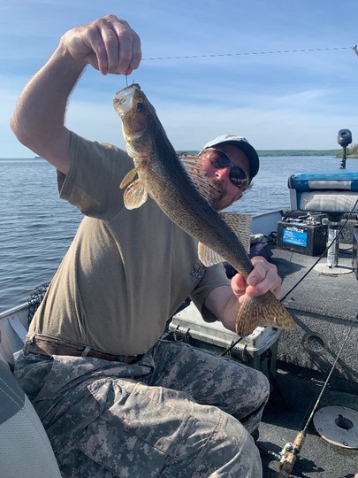 Sauger