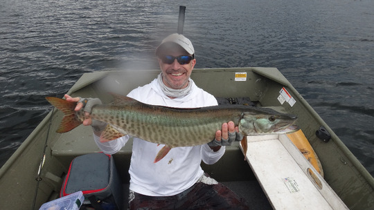Muskellunge