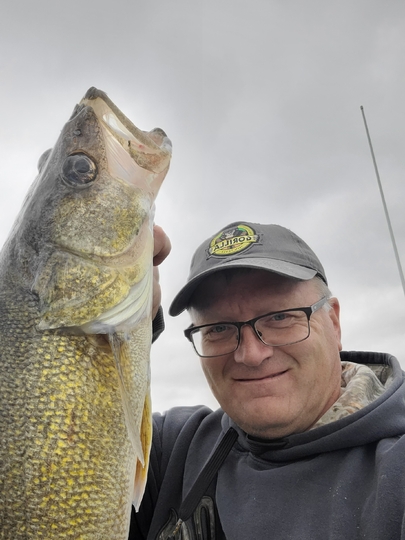 Walleye