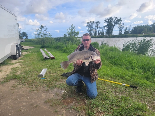 Freshwater Drum