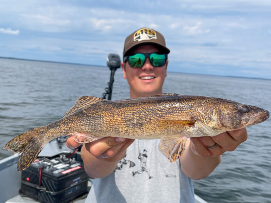 Sauger