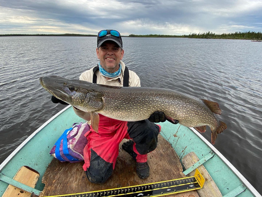 Northern Pike