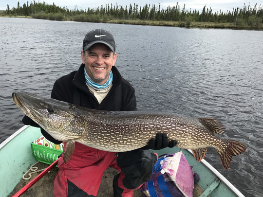 Northern Pike