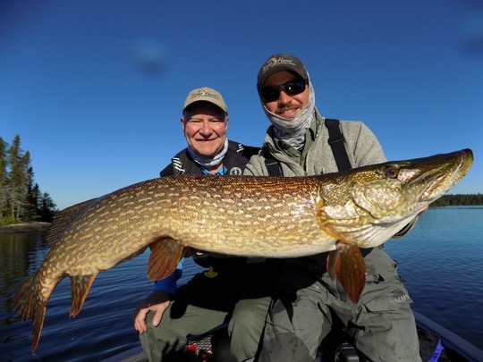 Northern Pike