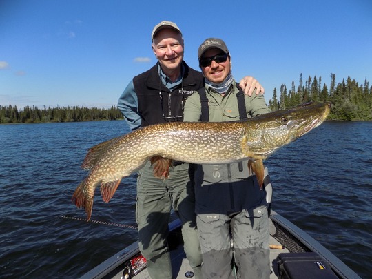Northern Pike