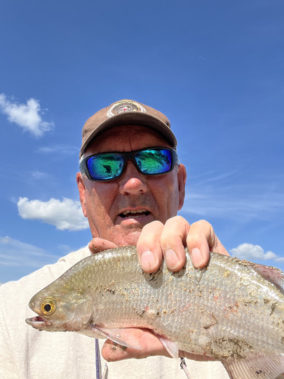 Goldeye