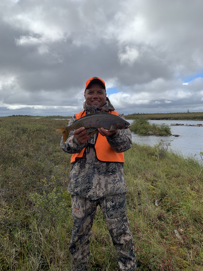 Arctic Grayling