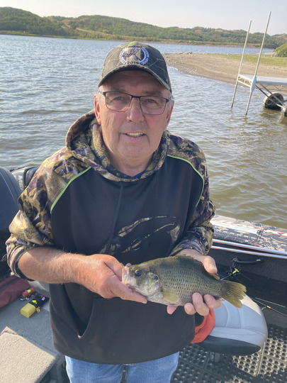 Rock Bass