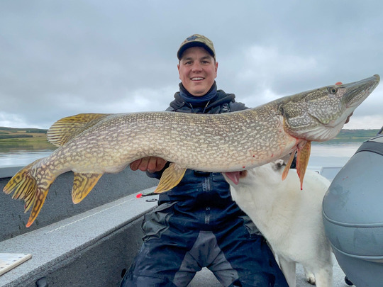 Northern Pike