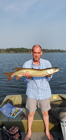 Muskellunge