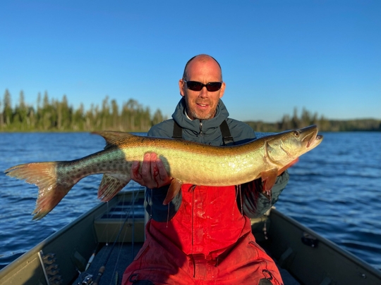Muskellunge