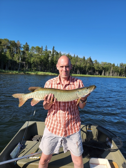 Muskellunge