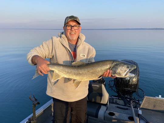 Lake Trout