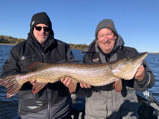 Northern Pike